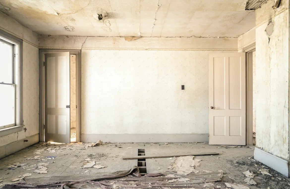 Waste disposal crew managing a cleanout project in Canyon Lake